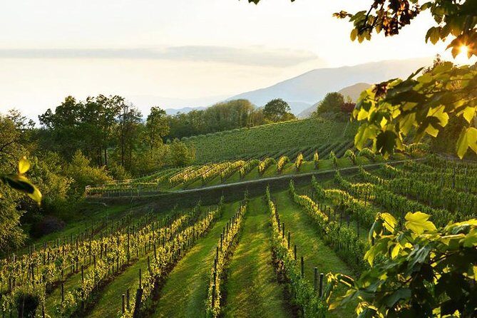 2 Guests Private Prosecco Road Tour All Inclusive from Conegliano - Valdobbiadene: steep hills, a second tasting, and a light lunch