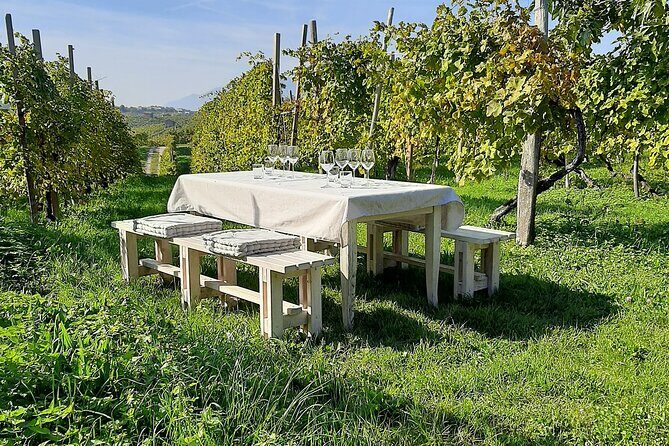 2 Guests Private Prosecco Road Tour All Inclusive from Conegliano - San Pietro di Feletto: where the hills change and pictures matter