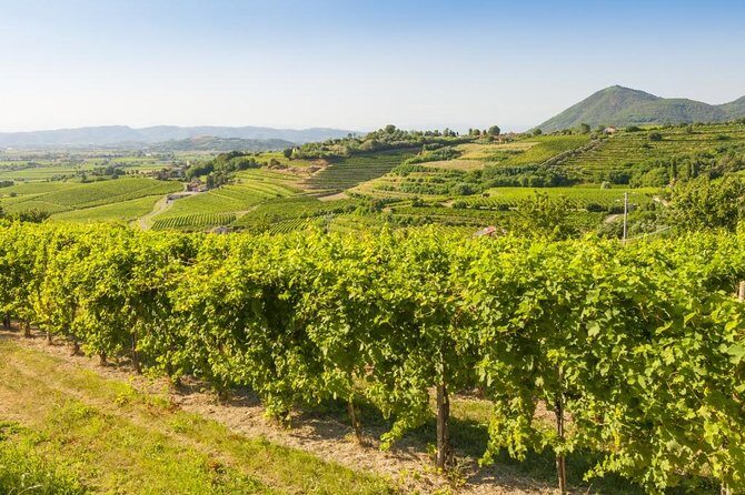 2 Guests Private Prosecco Road Tour All Inclusive from Conegliano - What makes the tastings feel different