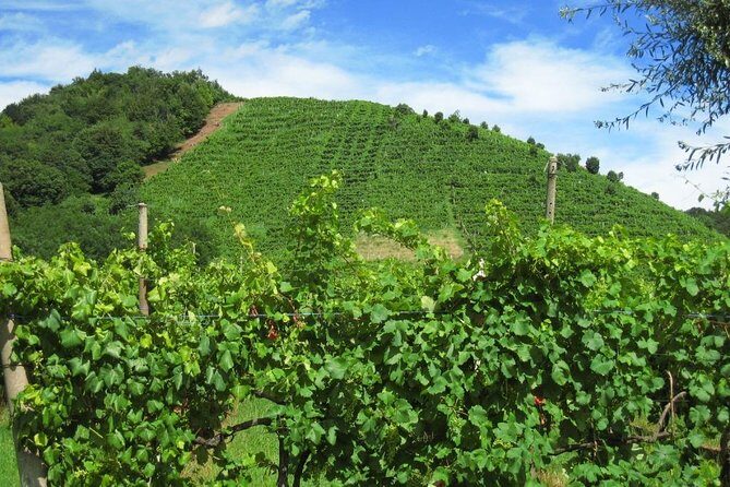 2 Guests Private Prosecco Road Tour All Inclusive from Conegliano - The guide matters: Chiara’s role in the day
