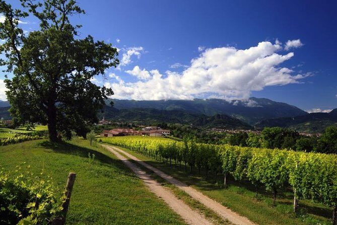 2 Guests Private Prosecco Road Tour All Inclusive from Conegliano - How to get the most from the day