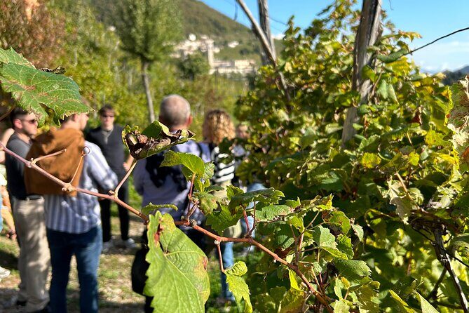 2 Guests Private Prosecco Road Tour All Inclusive from Venice - Booking timeline and how to avoid day-trip headaches