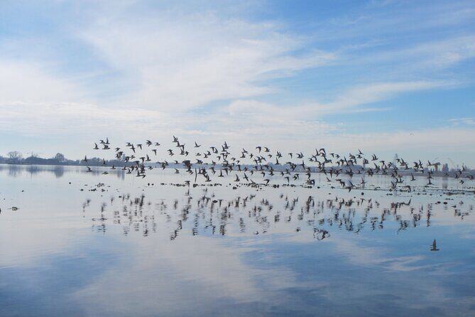 2 Hour Night Kayak Tour in Venice, premium experience with sunset - Night Kayaking at Sunset: what 2 hours feels like