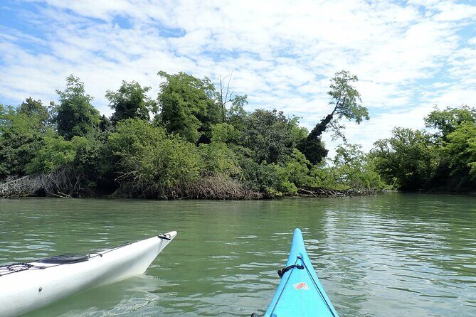2 Hour Night Kayak Tour in Venice, premium experience with sunset - Small-group kayaking in Venice: comfort, control, and a real guide-to-paddle ratio