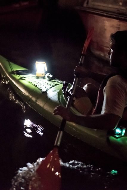 2hr Night Kayak Tour in Venice: premium tour with sunset - Why a Venice night kayak at sunset is worth the money