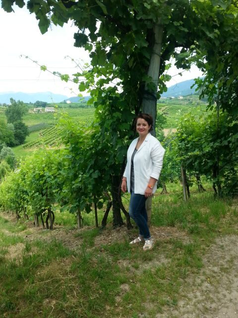8-Hour Prosecco Wine and Tastings Tour from Venice or Padua - Prosecco DOCG country: the quick way to see the real Veneto