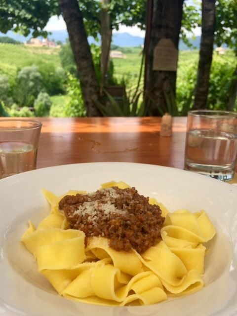 8-Hour Prosecco Wine and Tastings Tour from Venice or Padua - Vineyard strolls: why the scenery improves the tasting