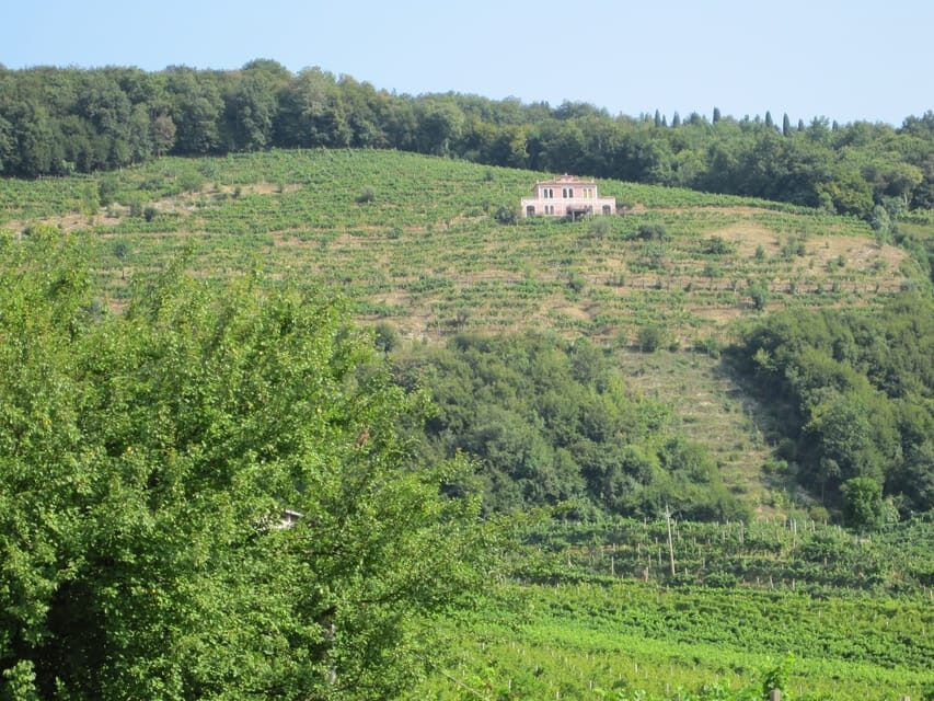 8-Hour Prosecco Wine and Tastings Tour from Venice or Padua - Cantina visit #2: family-run production and a second tasting round