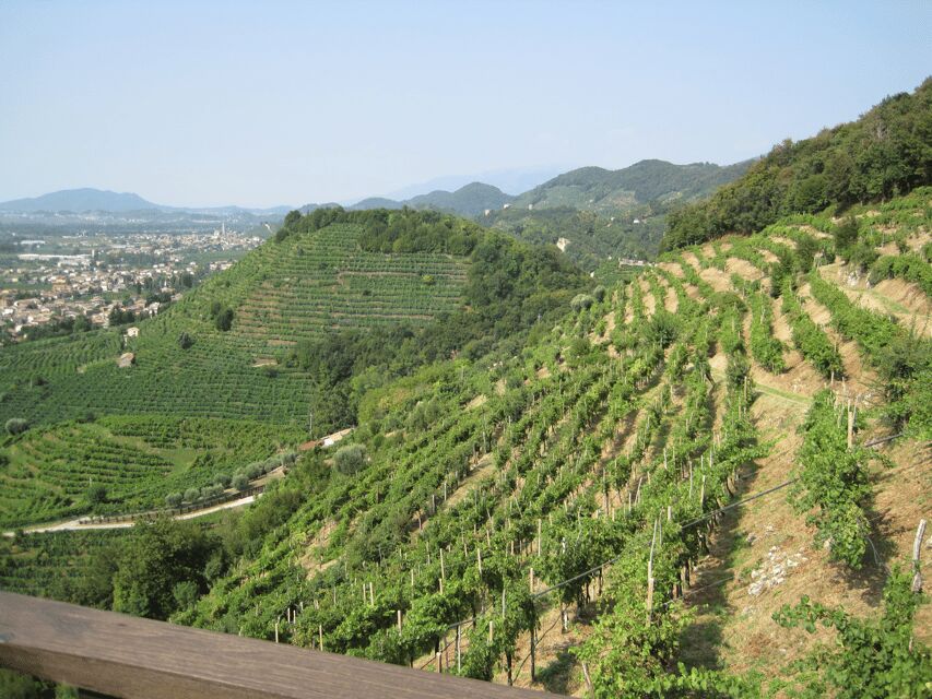 8-Hour Prosecco Wine and Tastings Tour from Venice or Padua - Who this is best for (and who should skip it)