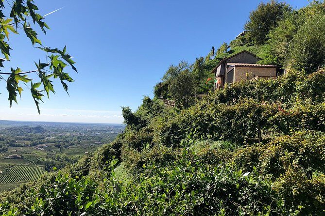 A Sparkling Day in the Prosecco Hills from Venice - Pieve di Soligo Lunch: Four Courses, Spiedo Over Open Fire, and Family Desserts