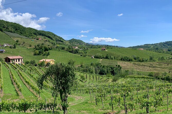 A Sparkling Day in the Prosecco Hills from Venice - Logistics That Matter: Trains, Private Vehicle Rides, and Staying on Track