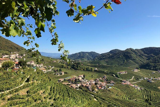 A Sparkling Day in the Prosecco Hills from Venice - Winery Stop One in Valdobbiadene: Four Tastings With Real Scenic Pressure
