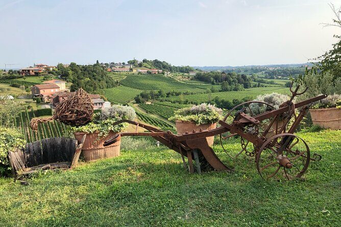 Adventure in the Prosecco Hills by Yellowboot - Who this tour fits best (and who should think twice)