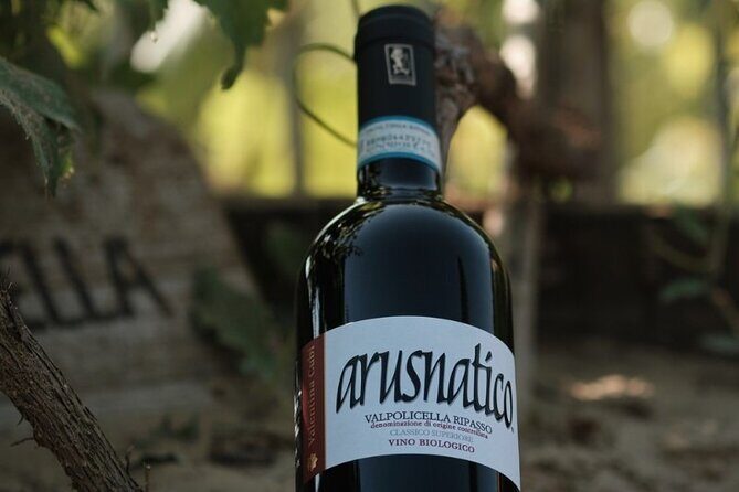 Amarone 2005 Wine Experience - Amarone 2005, Organic Valpolicella, And What You Actually Taste
