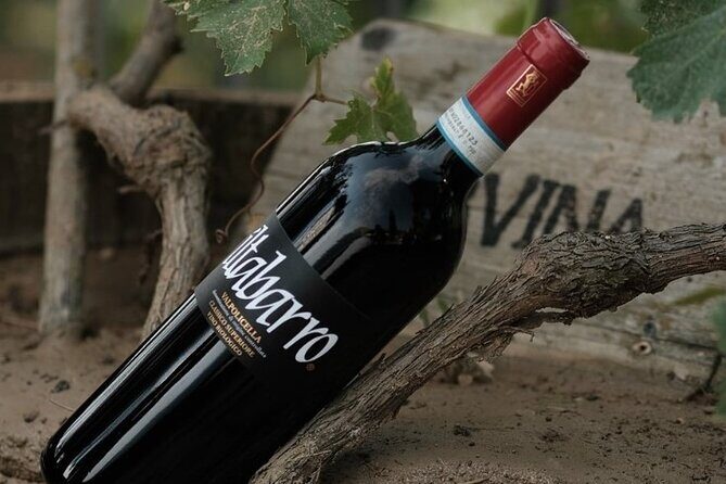 Amarone 2005 Wine Experience - The 90-Minute Flow: What Happens From Start To Finish