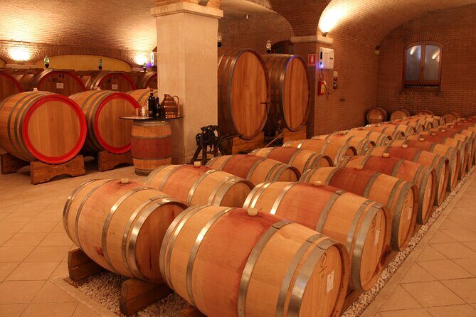 Amarone 2005 Wine Experience - What You’ll Learn From Organic Valpolicella (Without Being Lectured)