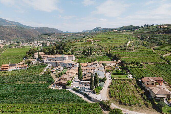 Amarone 2005 Wine Experience - Pairing Basics: Water and Artisanal Crackers