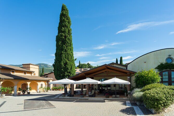 Amarone 2005 Wine Experience - Where You Meet (And Why Getting There Matters)