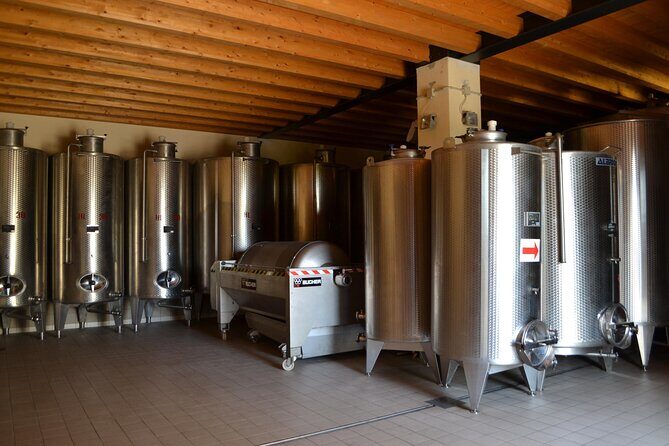 Amarone Della Valpolicella Wine Experience - Meet the Vogadori Family - Amarone Grazie: the best-vintage meditation style