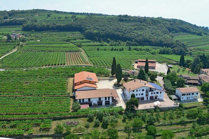 Amarone-Valpolicella tour. Visit Verona. From Venice - Lunch pairing: local cheese and salami with purpose