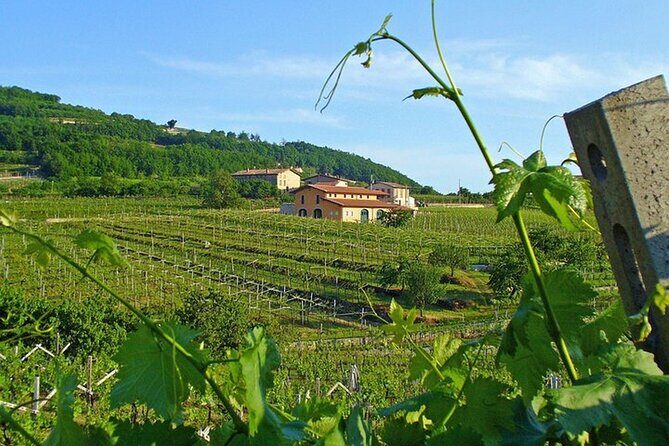 Amarone-Valpolicella tour. Visit Verona. From Venice - Price and value: is $240 a fair deal for a full day?