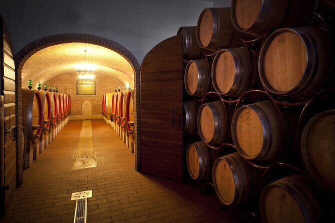 Amarone-Valpolicella tour. Visit Verona. From Venice - Who should book this tour, and who might not love it