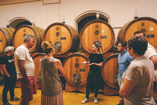 Amarone Wine-tasting Tour from Verona with Private Transportation - Teatro Ristori Meet-Up: Easy Start, Scenic Ride, Then Tasting Time