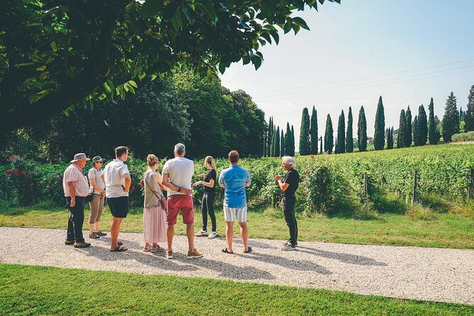 Amarone Wine-tasting Tour from Verona with Private Transportation - Comparing Two Winery Styles Without Rushing