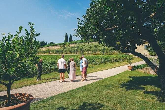 Amarone Wine-tasting Tour from Verona with Private Transportation - Is $151.23 Worth It for Two Wineries and Private Transport?