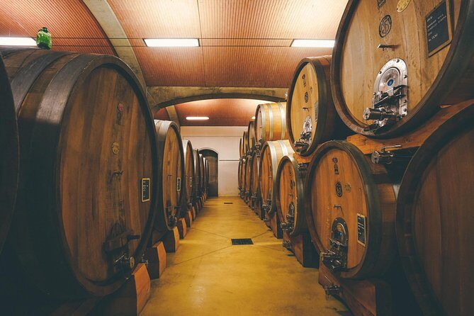 Amarone Wine-tasting Tour from Verona with Private Transportation - Who This Tour Fits Best (And Who Might Prefer Something Else)