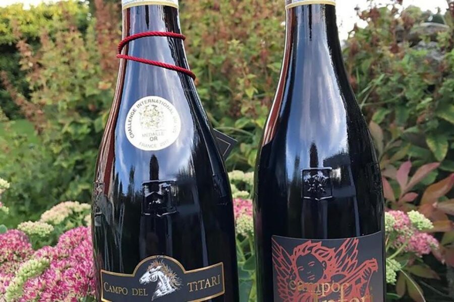 Amarone Wine Tasting Tour. Visit Verona. From Venice - The Four Red Wines Tasting: How to Taste With Purpose