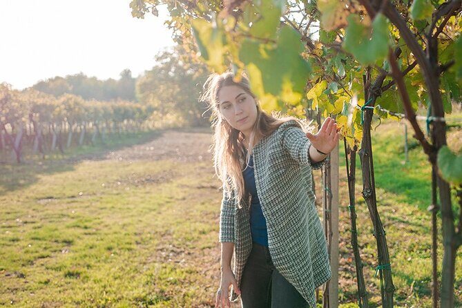 Amarone Wine Tour - Key things I’d watch for before you go