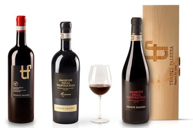 Amarone Wine Tour - Stop-by-stop: vineyards to fruit cellar to the winemaking rooms