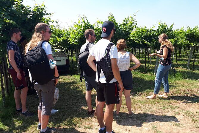 Amarone Wine Tour - The tasting lineup: white, three reds, and the Amarone highlight