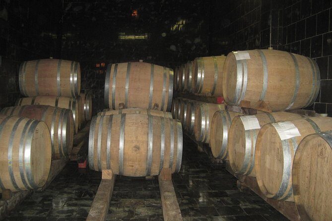 Amarone Wine Tour (all-inclusive full day with lunch and expert wine guide) - Two winery visits in Valpolicella: small producers and hands-on tasting