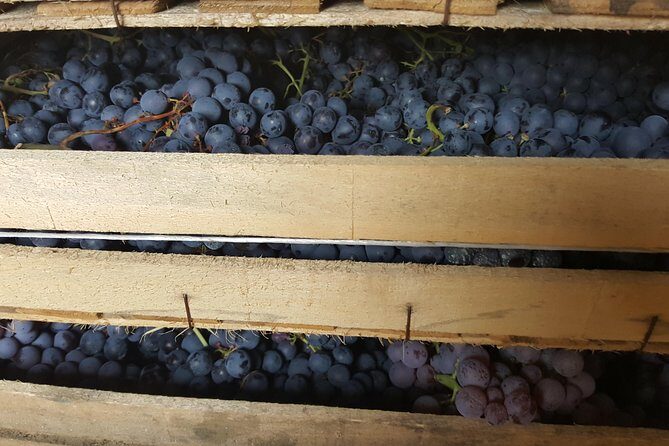 Amarone Wine Tour (all-inclusive full day with lunch and expert wine guide) - The lunch stop that turns the day from wine tasting into real eating