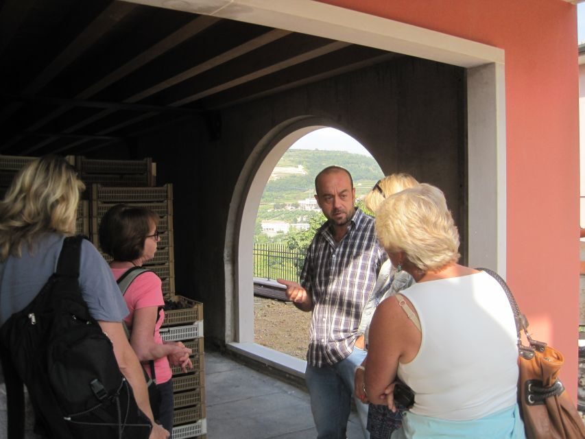 Amarone Wine Tour & Tasting from Venice, Padua or Verona - Who this Amarone tour fits best