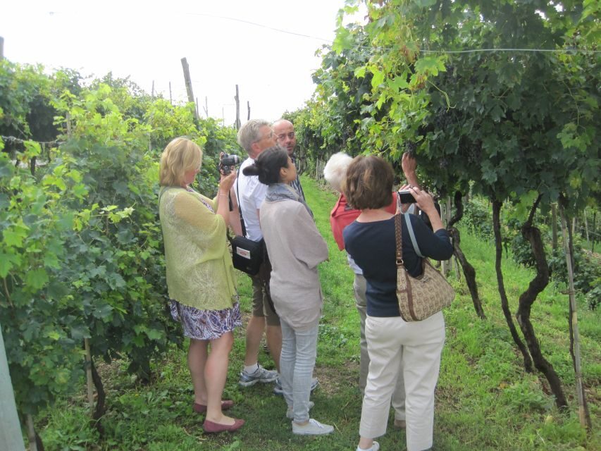 Amarone Wine Tour & Tasting from Venice, Padua or Verona - Meeting up and getting out of town: Venice, Padua, or Verona by minivan