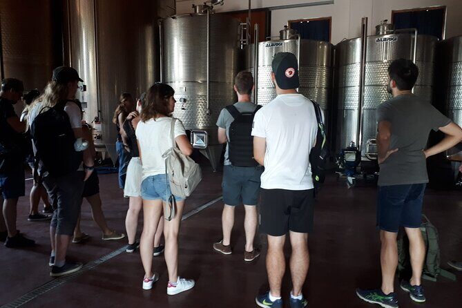 Amarone Wine Tour - Tenute Falezza: a cellar visit that explains the wine, not just sells it