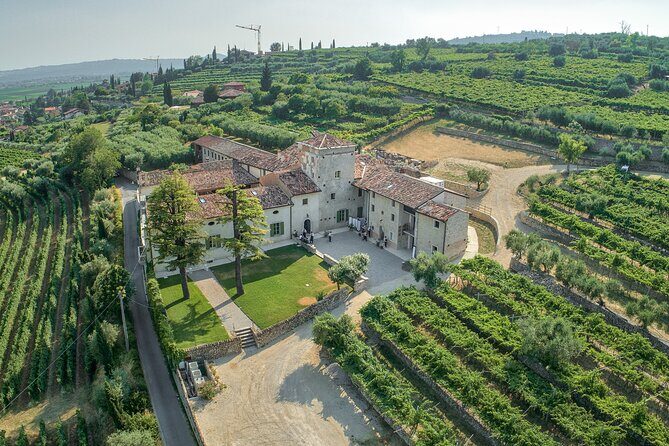 Art & Wine Experience in Valpolicella at Palazzo Montanari - Quick Hits Before You Go
