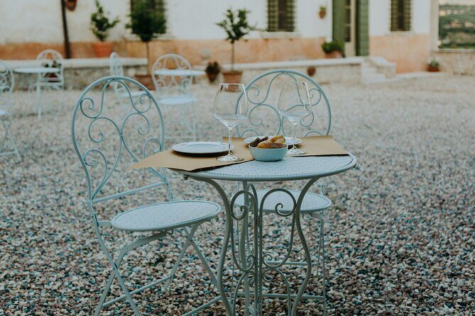 Art & Wine Experience in Valpolicella at Palazzo Montanari - The Wine Flight You’ll Taste: Classico to Amarone to Recioto
