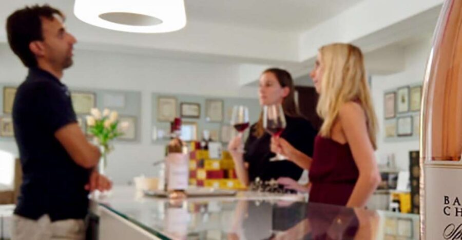 Bardolino: tasting of 6 White and Rosè wines with Lake view - How the cellar visit sets up your tasting flight