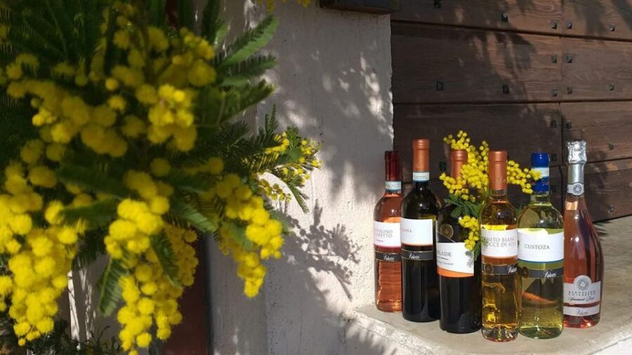 Bardolino: tasting of 6 White and Rosè wines with Lake view - The 6-wine tasting: Chiaretto, Custoza, Lugana, and Chardonnay Veronese IGT