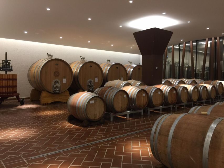 Bardolino: tasting of 6 White and Rosè wines with Lake view - Language and group experience: keep one eye on your confirmation