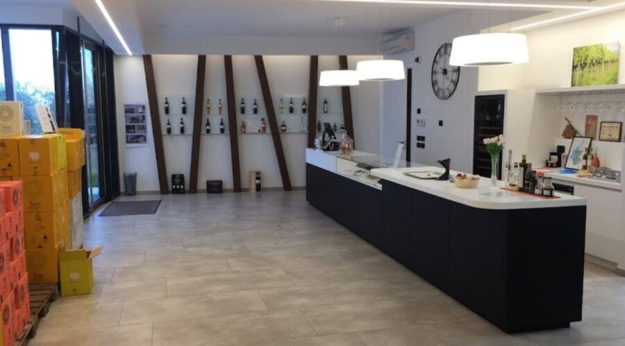 Bardolino: tasting of 6 White and Rosè wines with Lake view - Quick tips before you book