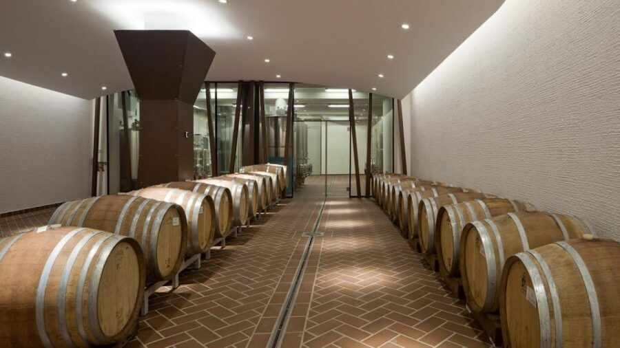 Bardolino: tasting of 6 White and Rosè wines with Lake view - The terrace welcome drink: short, scenic, and actually useful