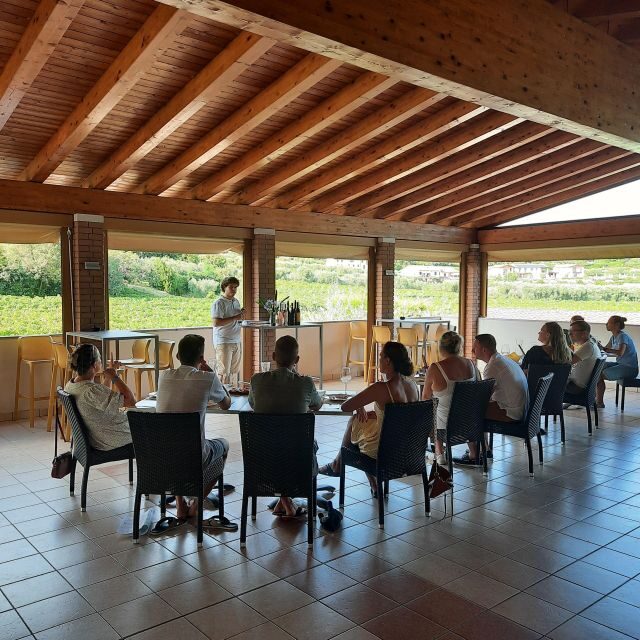 Bardolino: Vineyard Tour with Wine, Olive Oil & Food Tasting - Key highlights that make this tour worth your time