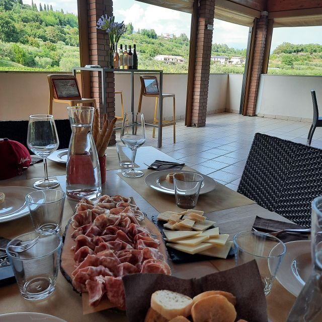 Bardolino: Vineyard Tour with Wine, Olive Oil & Food Tasting - The vineyard stop: how farming choices shape the taste