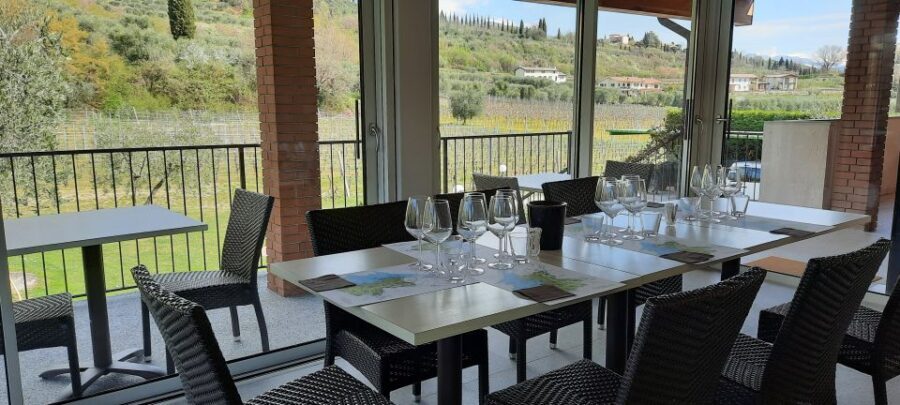 Bardolino: Vineyard Tour with Wine, Olive Oil & Food Tasting - Food pairings: cold cuts and cheeses that make the flavors clearer