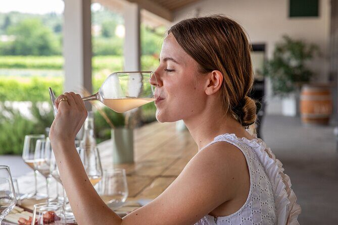 Bardolino Wine Experience - Key things to know
